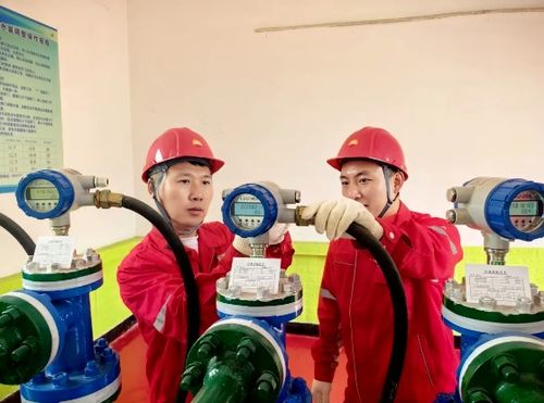 吉林油田松原采氣廠深化物聯網應用，賦能油氣生產協調優化