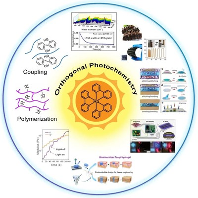 喜報！我院于游教授榮獲陜西省杰出青年科學基金項目資助