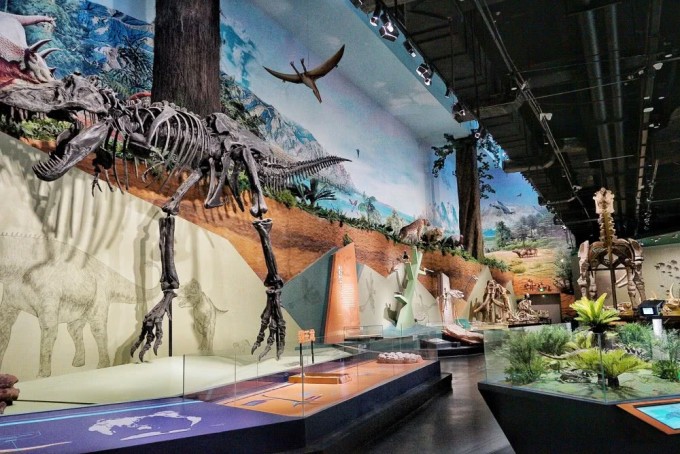 探秘地球心臟 柳州洞穴博物館，親子研學(xué)與自然科學(xué)的完美交融