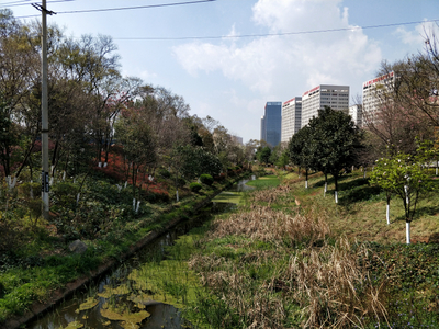 滇池口述環境史 人湖共生關系的變遷與啟示——基于西南環境史研究所第1期調研報告的自然科學研究視角