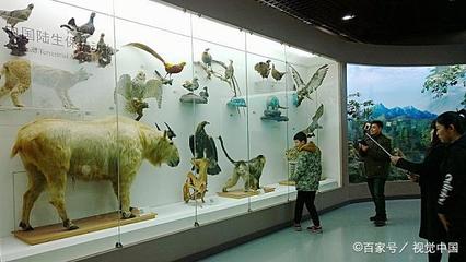 最強參觀攻略 帶萌娃探索北京自然博物館前，先了解這些自然科學知識